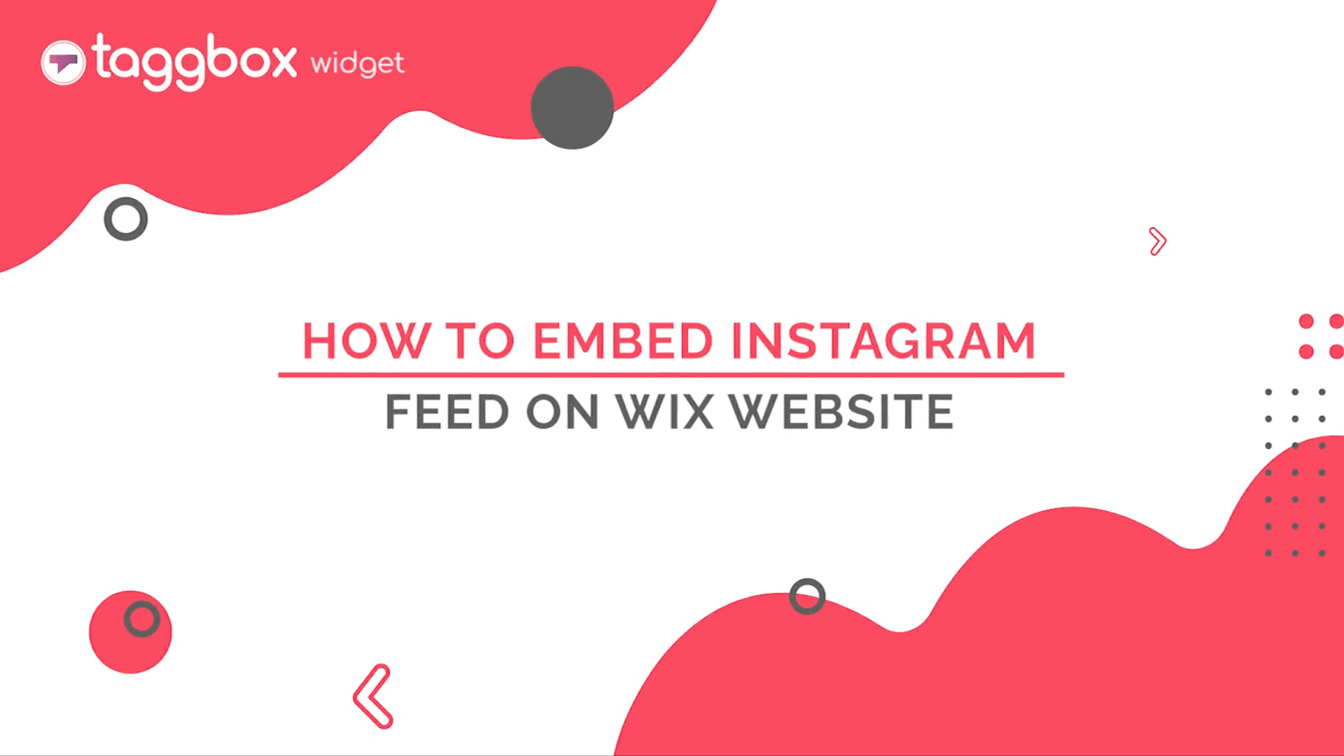 embed instagram widget on wix