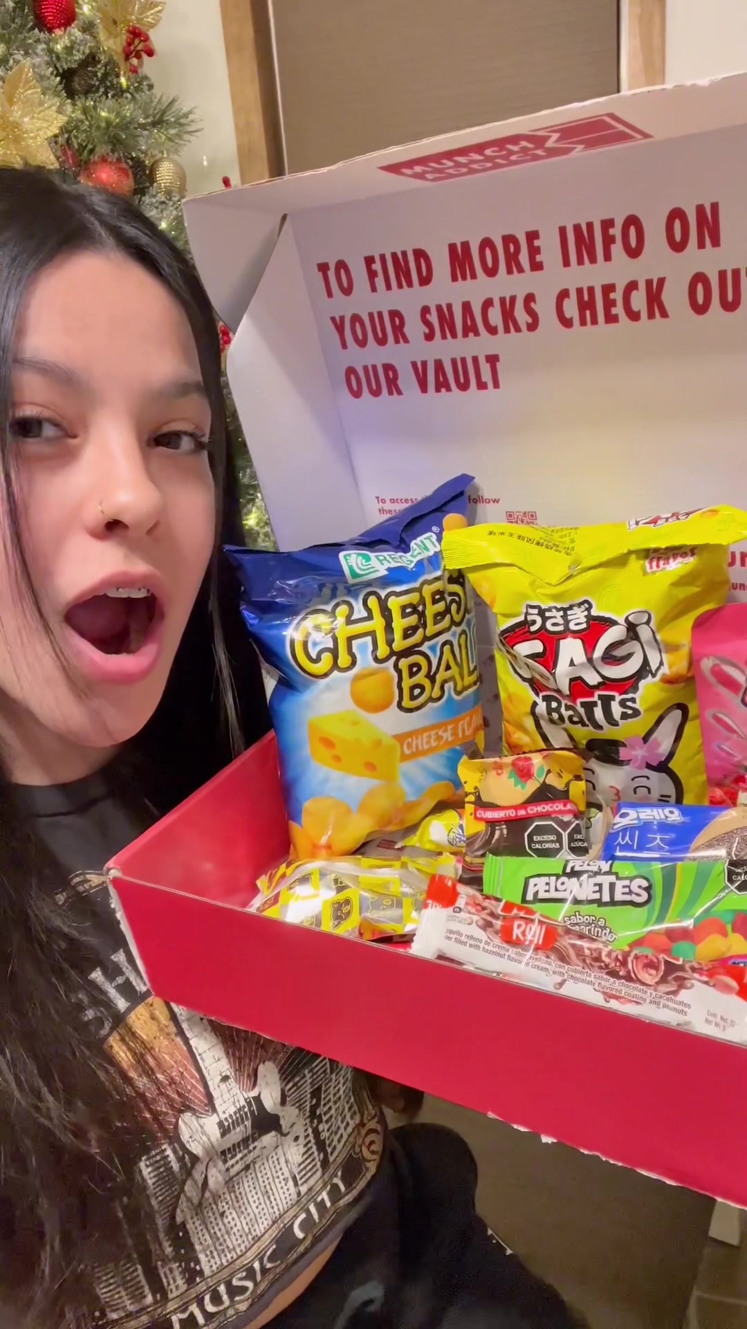 Munch Addict Exotic International Snack Subscription Box Gifts