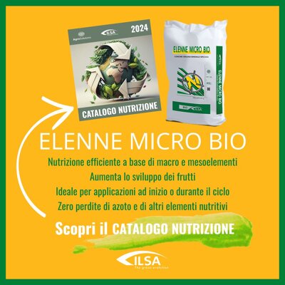 Guida all'Acquisto per dei Diserbanti ecologici [Novità 2024]