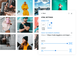 Taggbox Facebook Widget For Wix Website