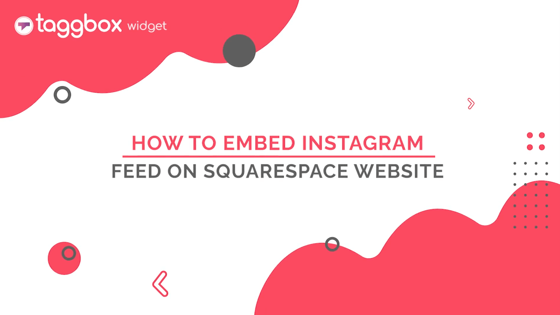 embed instagram widget on squarespace