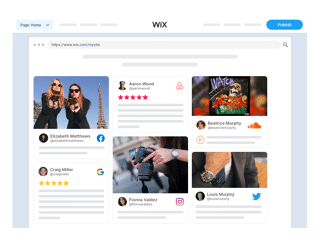 social media widget wix