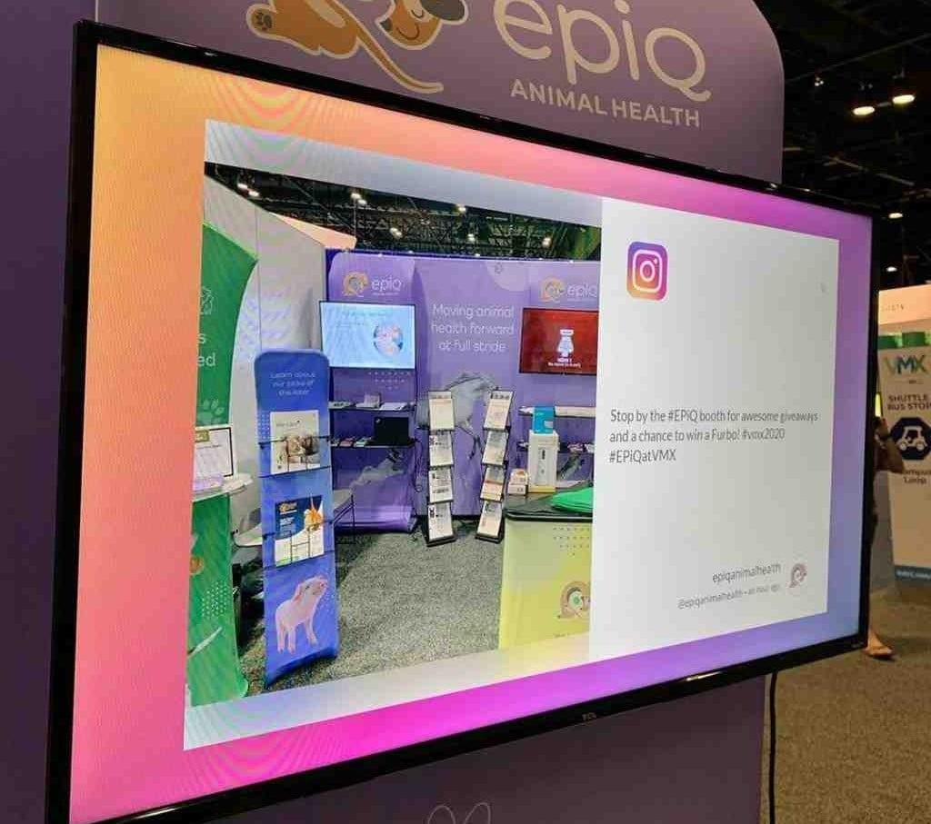 Stream Instagram live on TV 