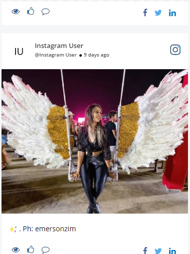 social media feed widget for wordpress