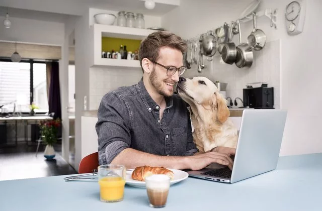 remote working tools