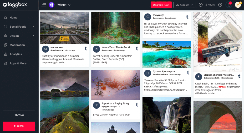 Display embed tumblr feed on website