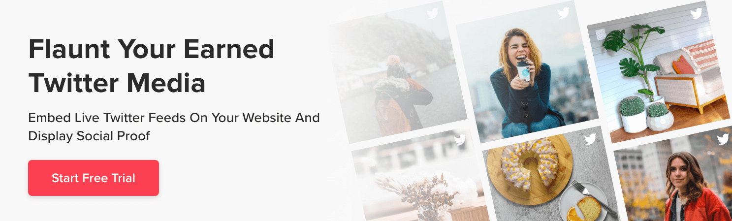 display twitter feed on wordpress