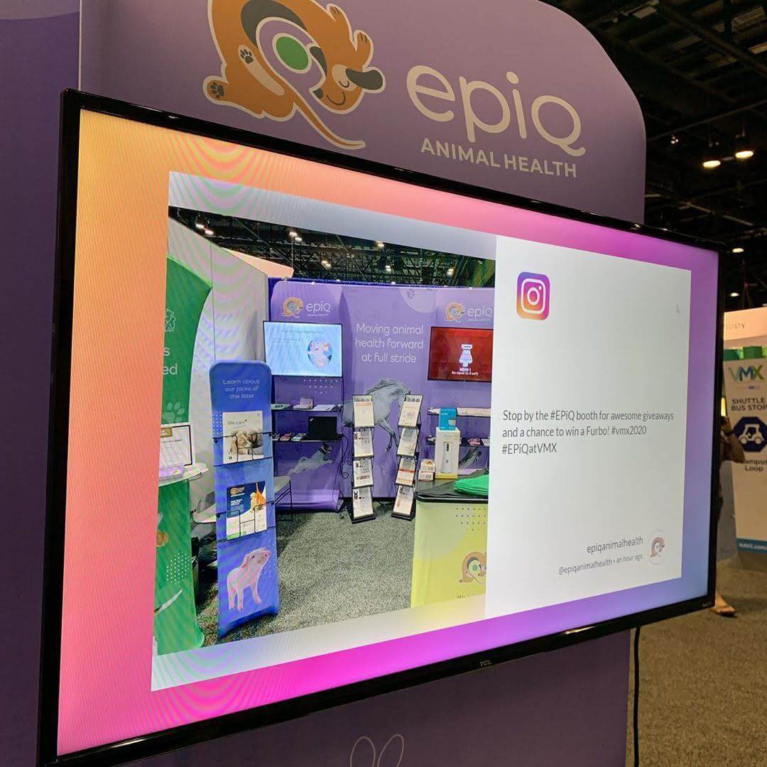 instagram content aggregator