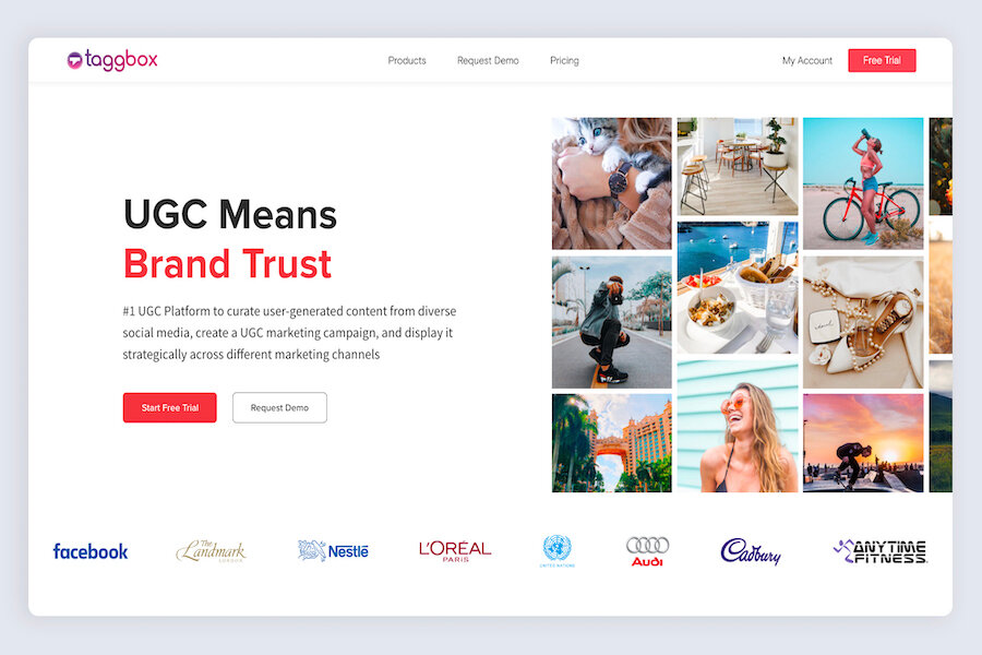 best UGC rights - Taggbox
