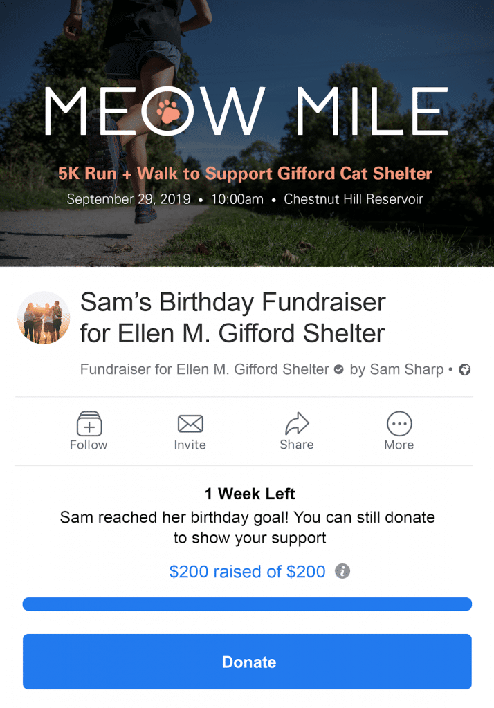 virtual fundraising campaign