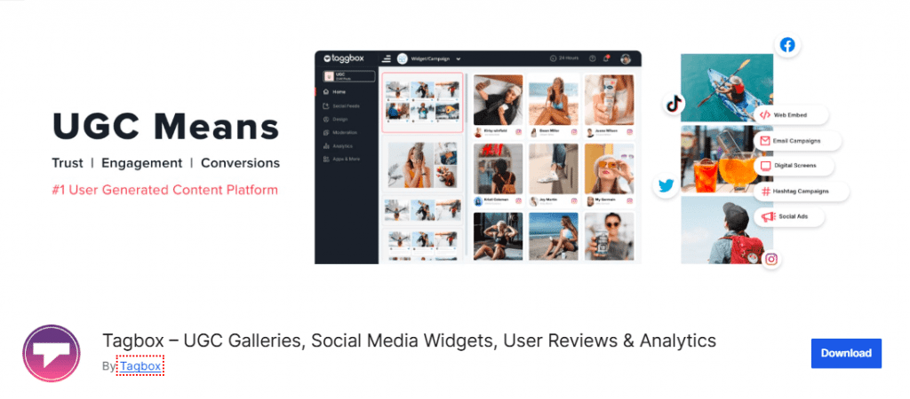 taggbox wordpress plugin