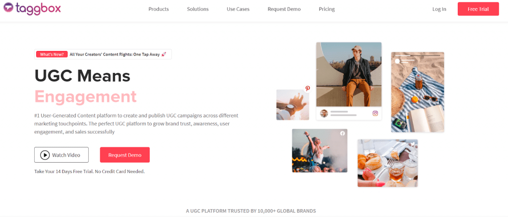 Taggbox - Best Social Media Aggregator tool