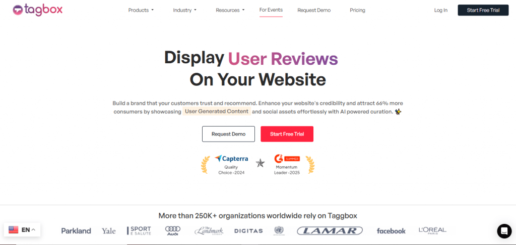 embedsocial alternatives - Taggbox
