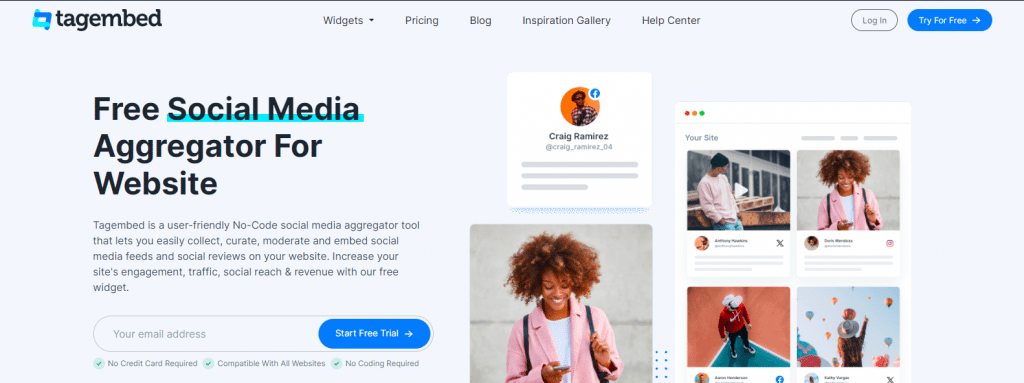 embedsocial alternatives - tagembed