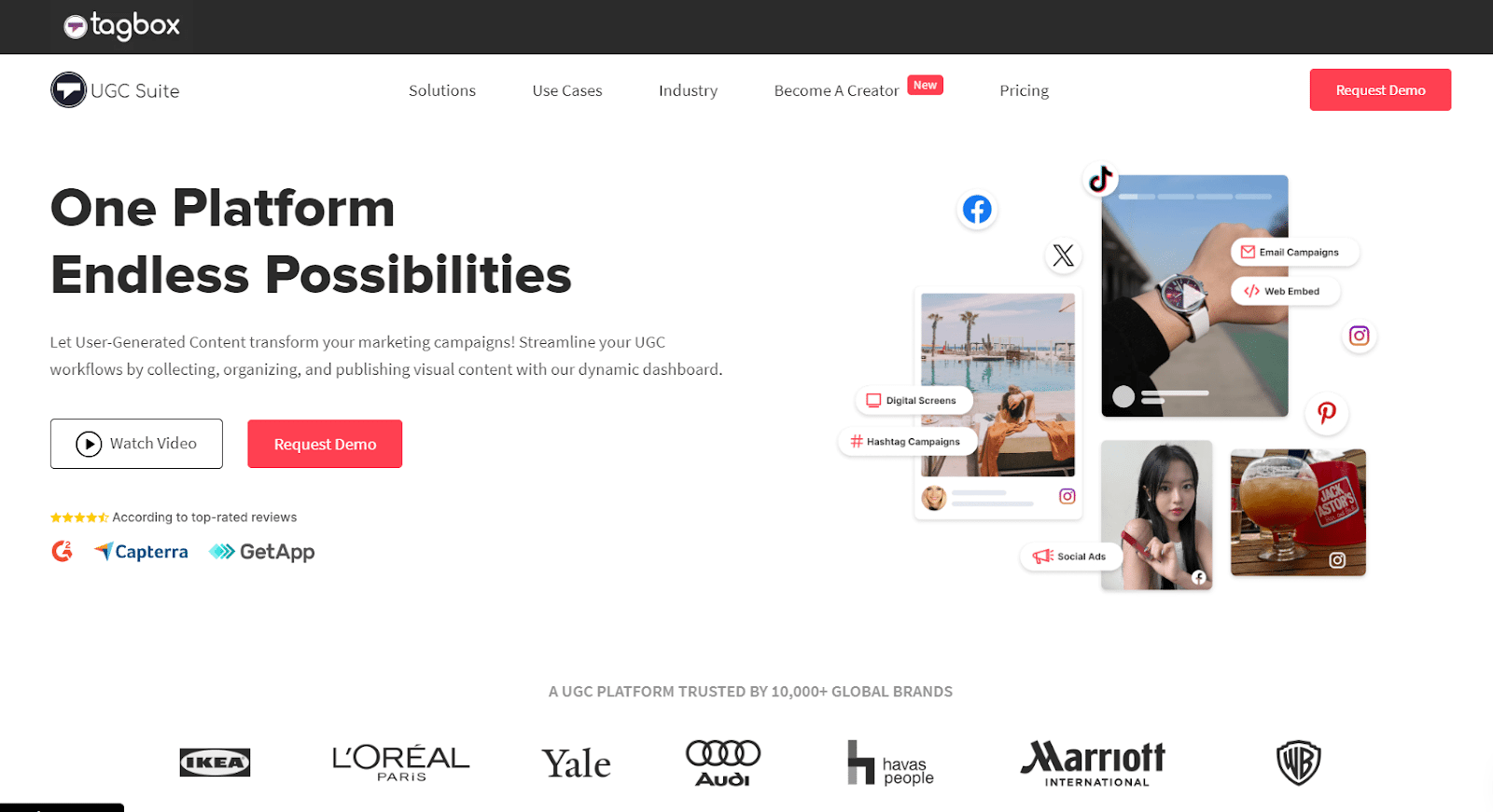 taggbox - ugc platform