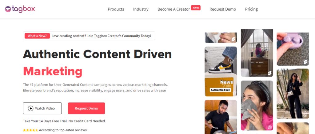 top tiktok marketing tool