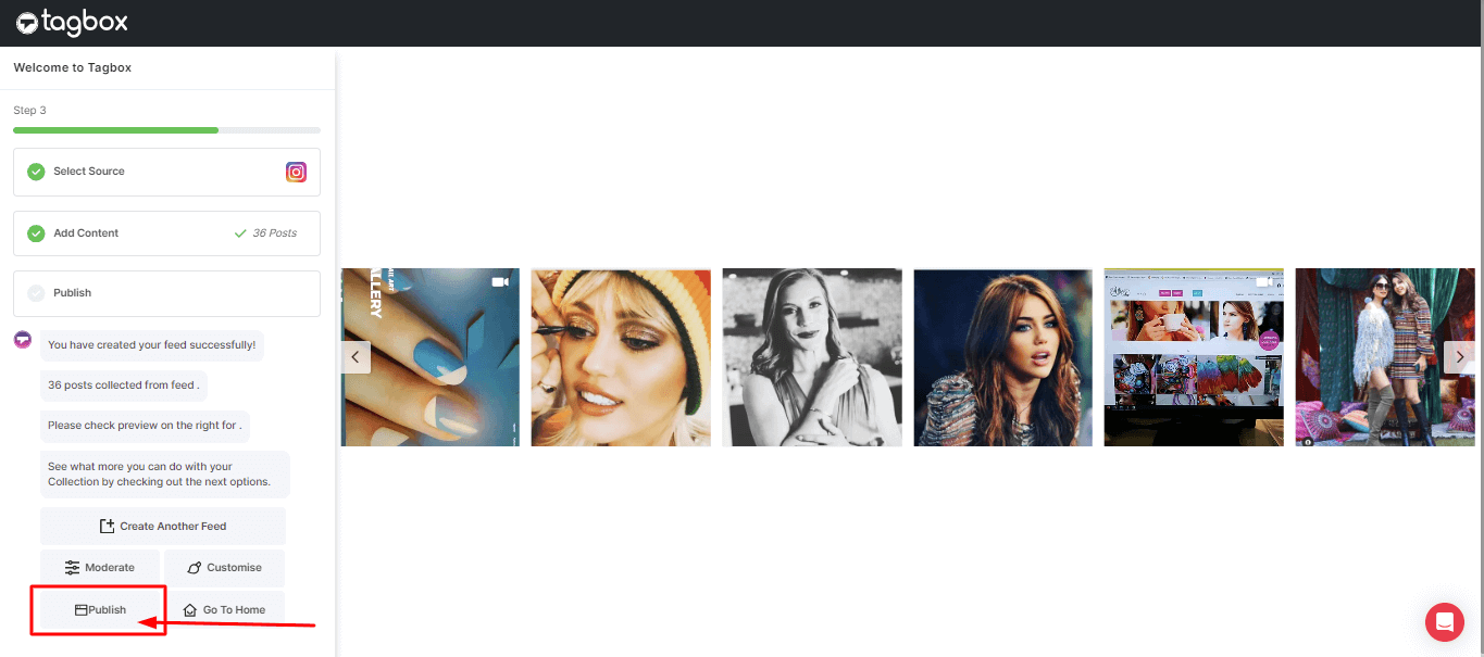 Click on the publish button to embed Instagram social post
