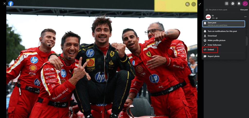 Adding Facebook Album On the Website