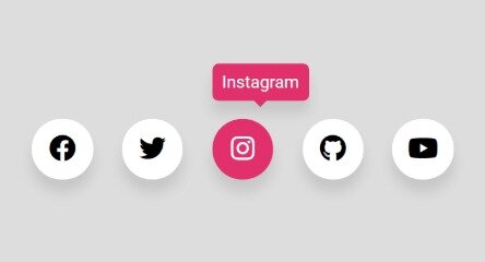 Use Instagram Social Button