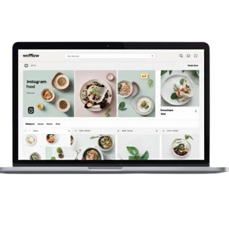 add Instagram feed to webflow website