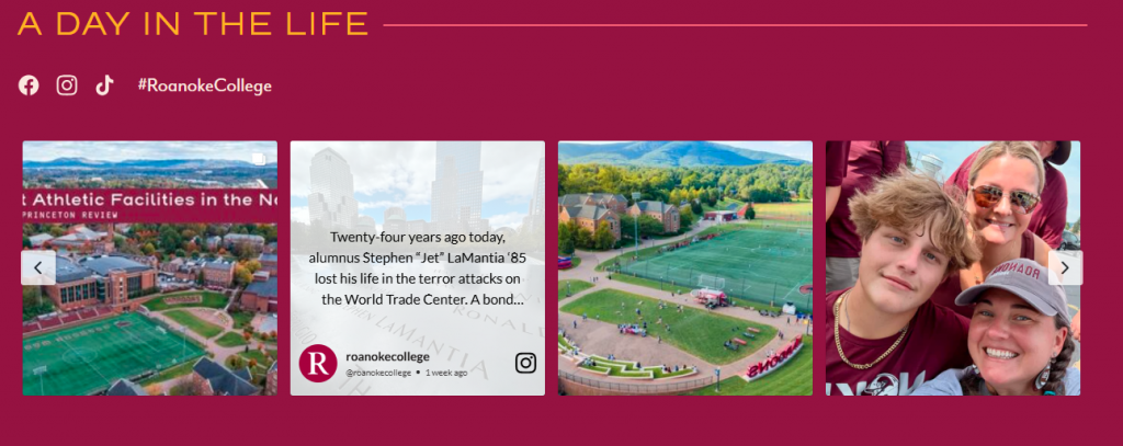 Instagram on Website - Roanoke