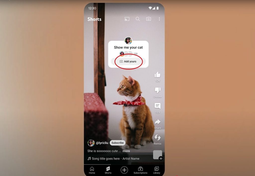 Add Yours Stickers Live