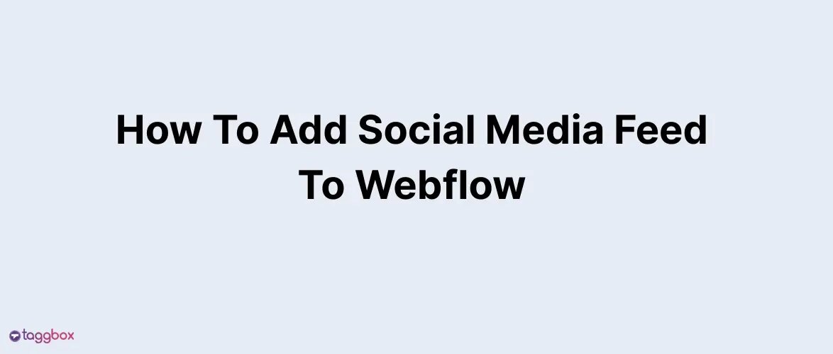 How To Add Social Media Feed To Webflow
