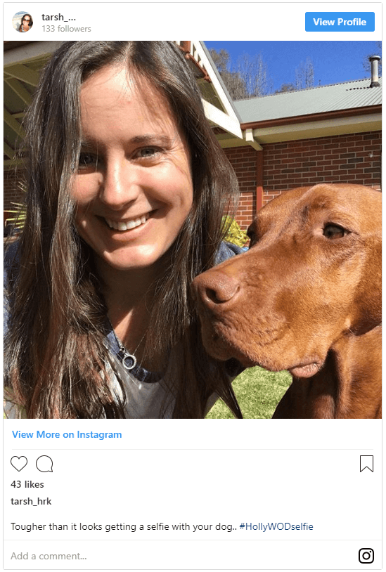 DogSelfie Feed