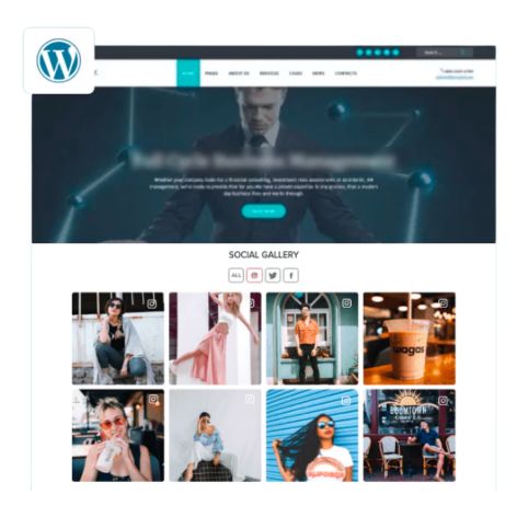 add instagram feed to wordress website