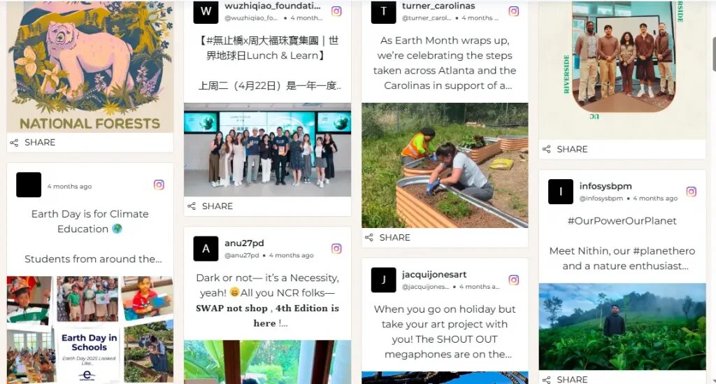 social media feeds on website