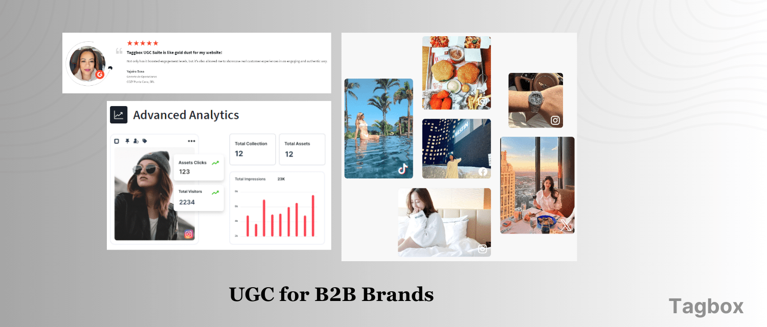 ugc for b2b brands