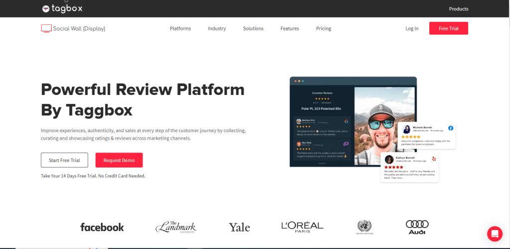 tagbox review platform