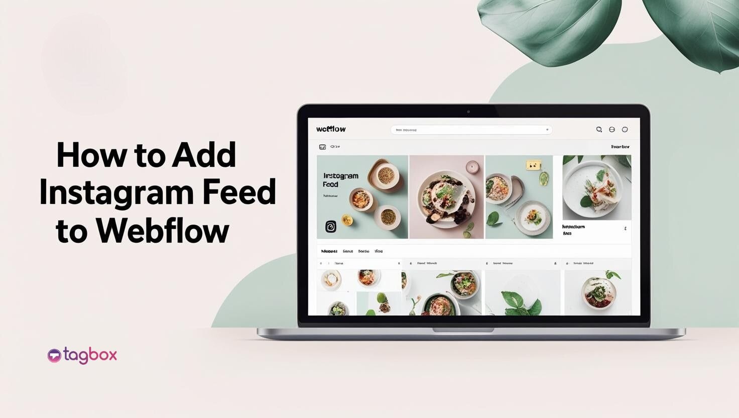 How to Add Instagram Feed to Webflow Website