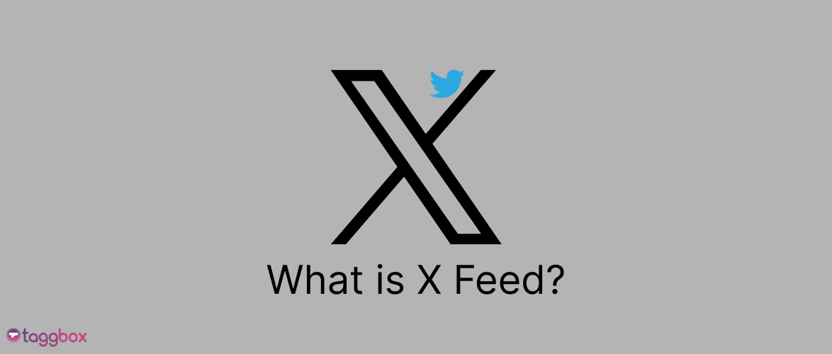 what is x feed