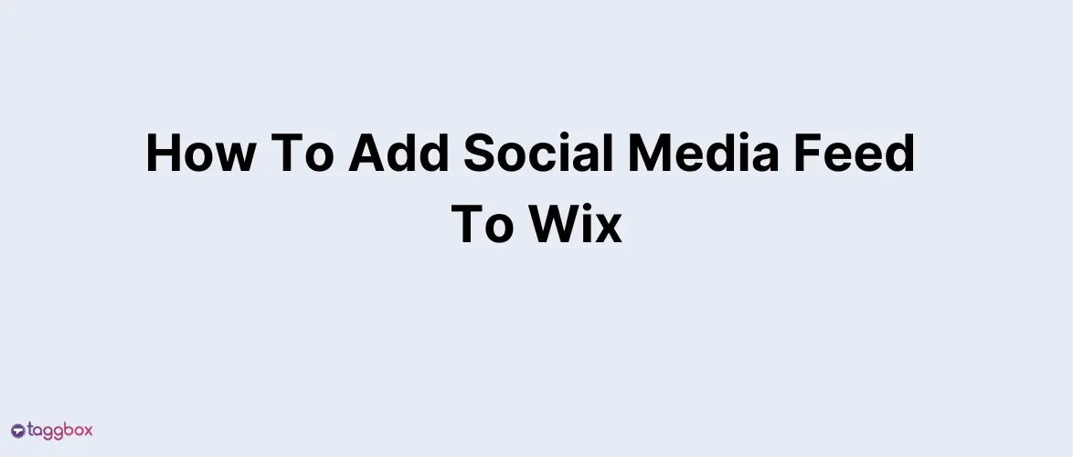 How To Add Social Media Feed To Wix