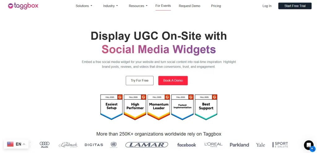 taggbox social media widget