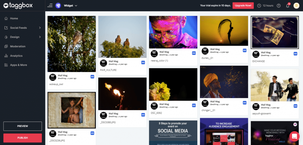 Preview & Publish Flickr Feeds Widget