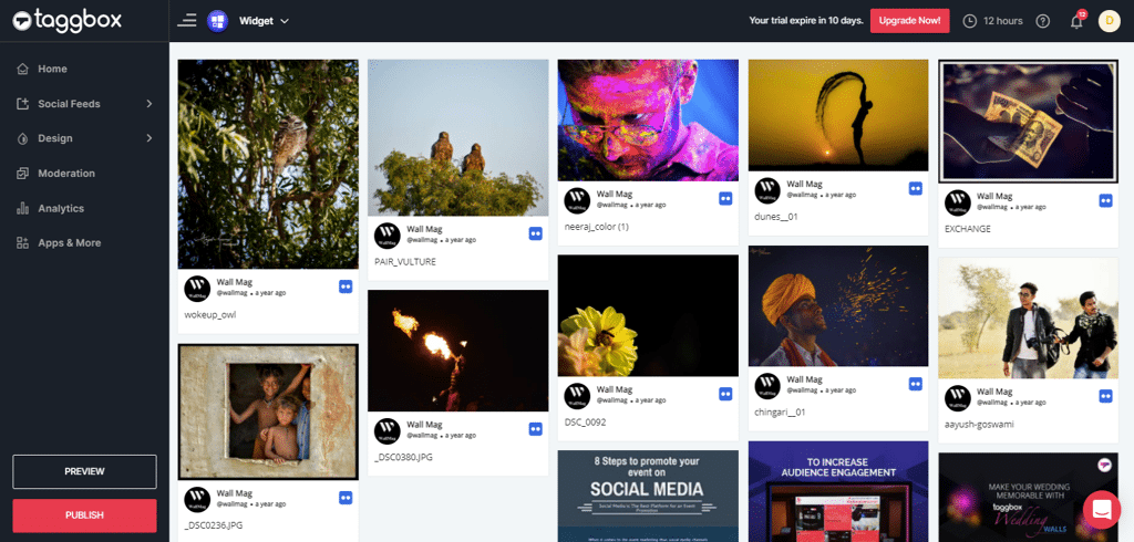 How to Embed Flickr Gallery on Website? - Taggbox Support