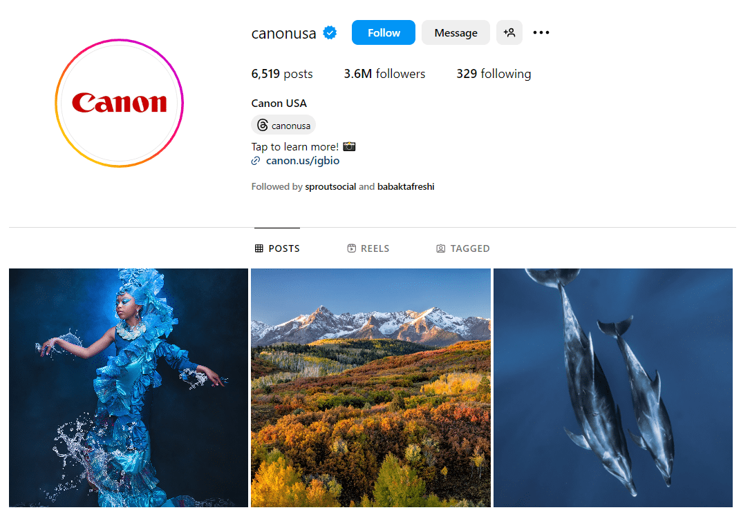 How to Embed Instagram Profile on Website in 3 Steps - Tagshop