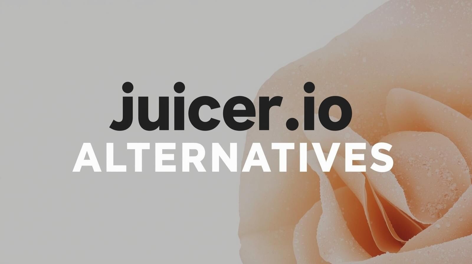 Juicer.io Alternatives